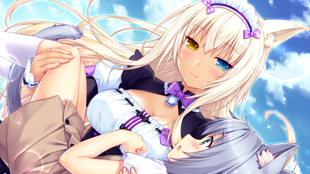 Catgirl Hentai Visual Novel Review Nekopara Hentaireviews