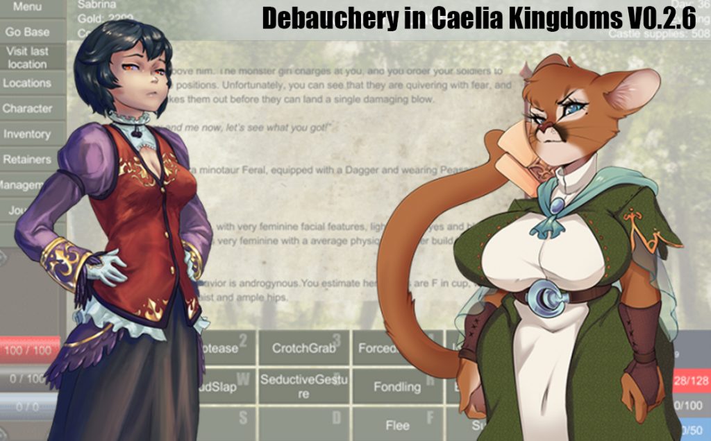 Debauchery Porn - Porn Game Review: Debauchery in Caelia Kingdoms - Hentai Reviews
