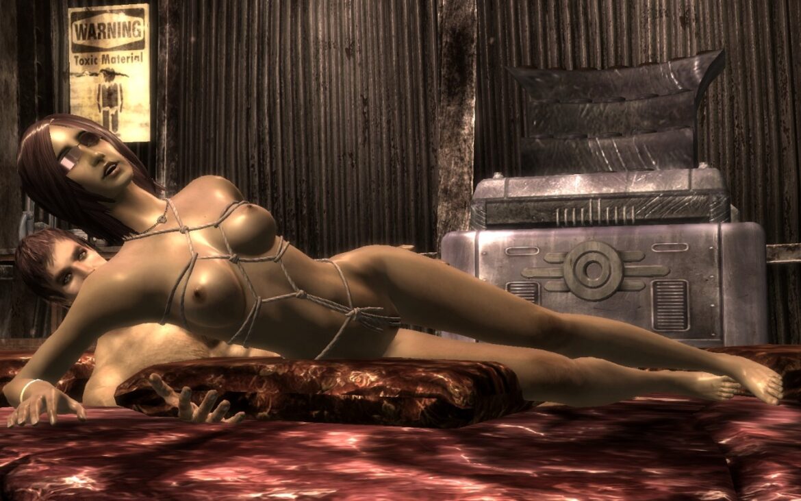 Fallout 3 Animated Prostitution Mod by JoshNZ (8)
